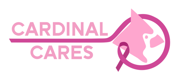 Cardinal Cares Hoodie (Adult Unisex)