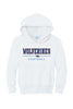 Wolverines Football Hoodie (Youth and Adult Unisex Sizes)